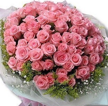 粉色玫瑰花语有哪些？
